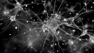 Demystifying Neural Networks For The Non Technical Reader