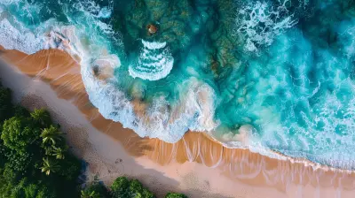 Elevate Your Photography with These Smart Content Creation Apps