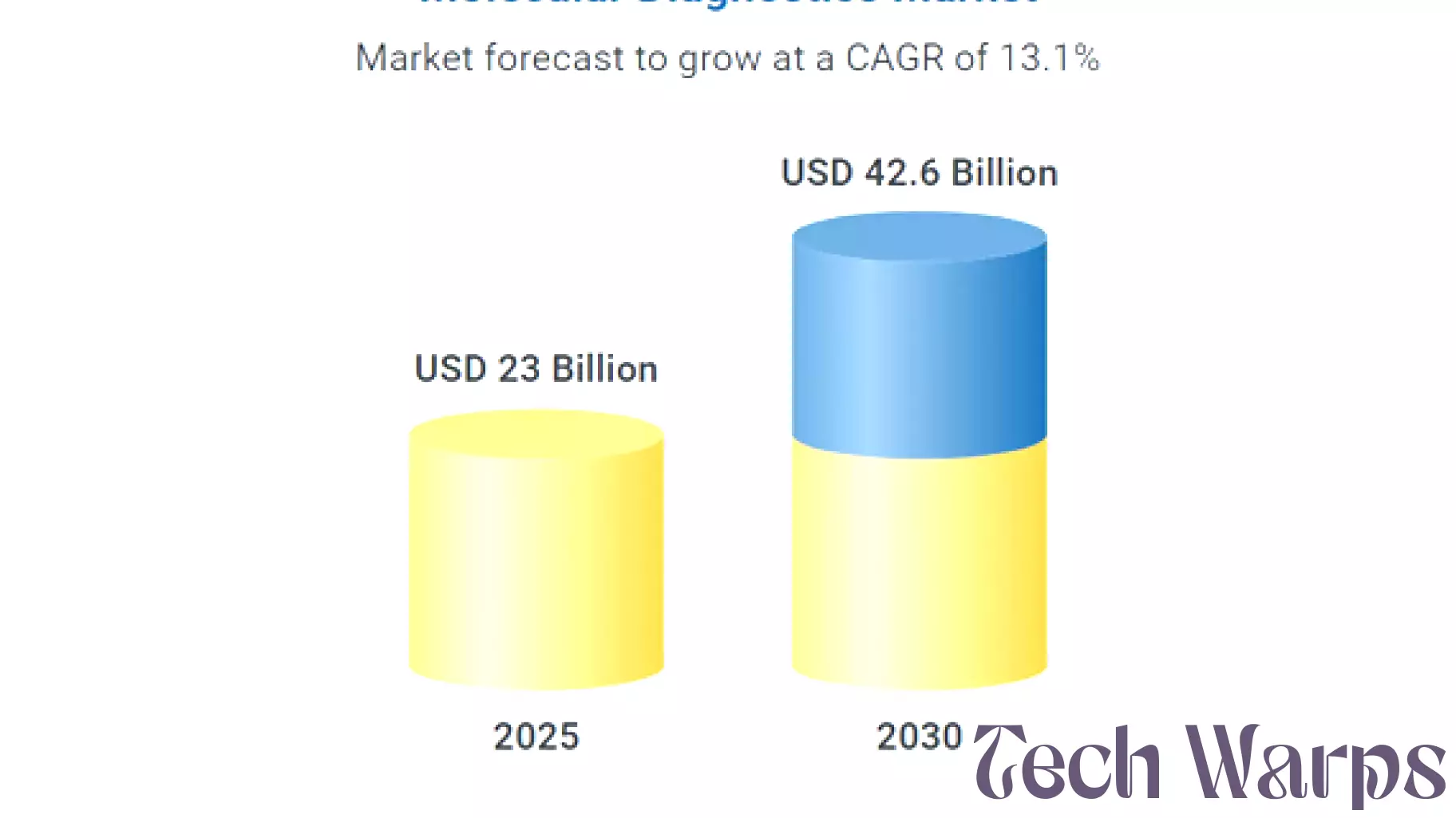 Expanding Horizons in Molecular Diagnostics: A Market on the Rise