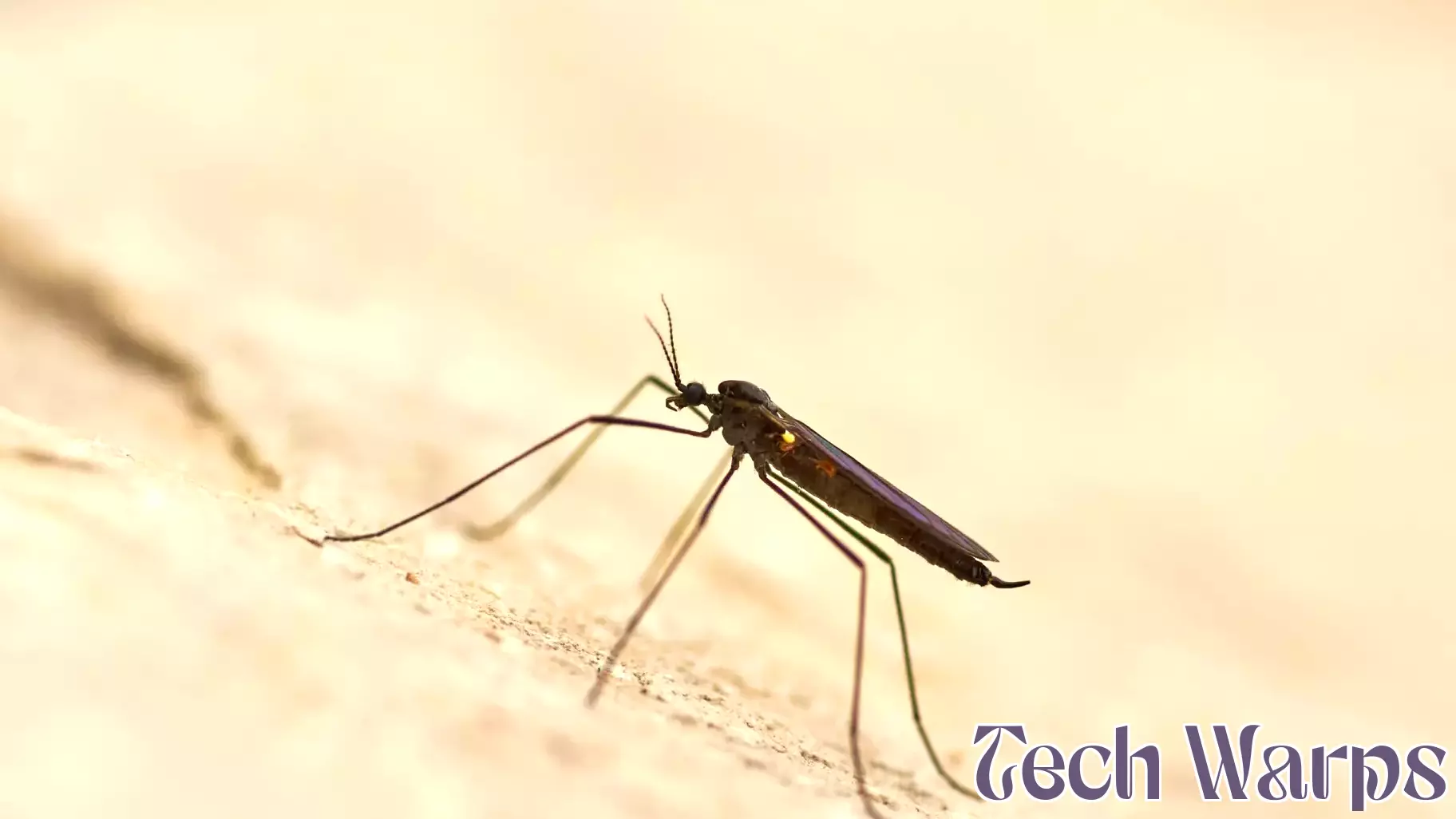 Harnessing AI to Combat Malaria in Africa