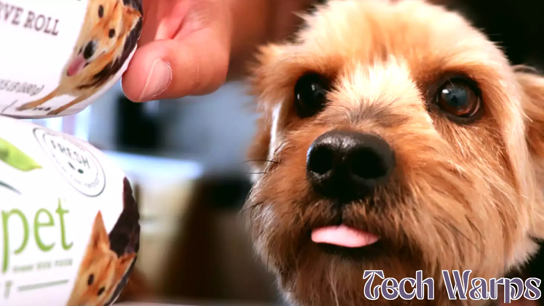 Is Align Technology, Inc. (NASDAQ:ALGN) a Hidden Gem in the Market?