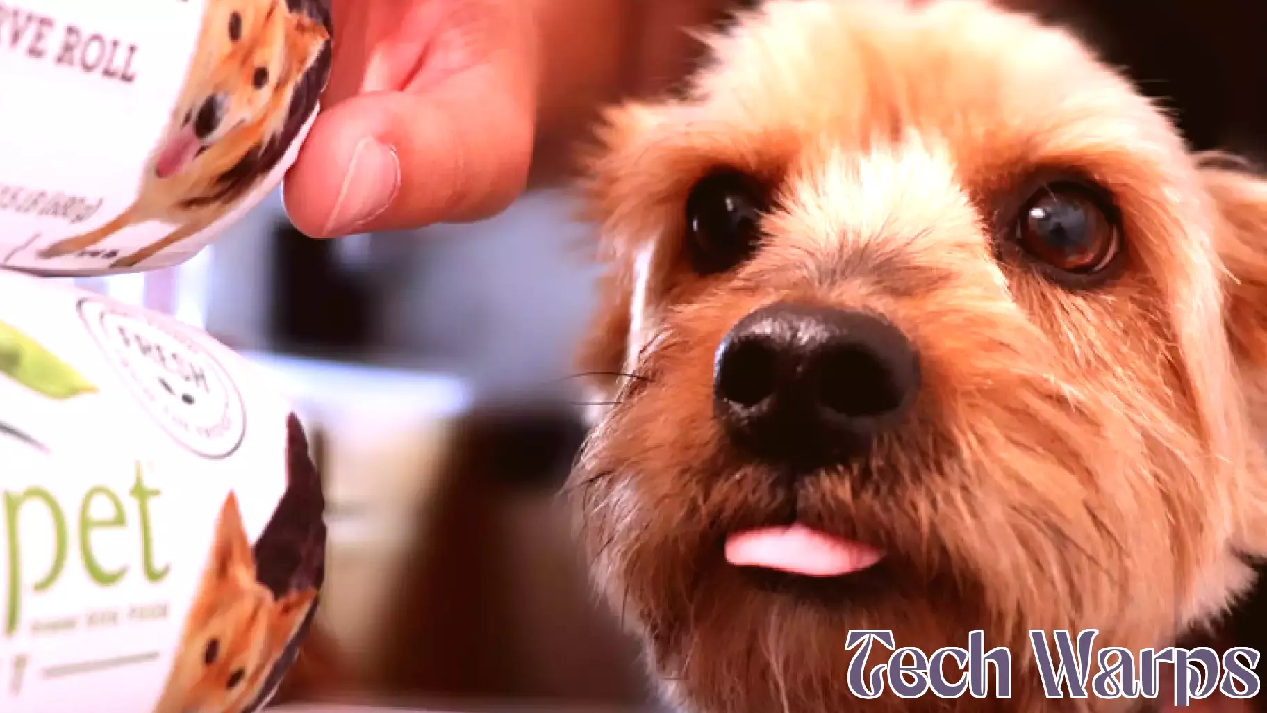 Is Align Technology’s (ALGN) Five-Year Innovator Streak Quietly Redefining Its Competitive Moat?