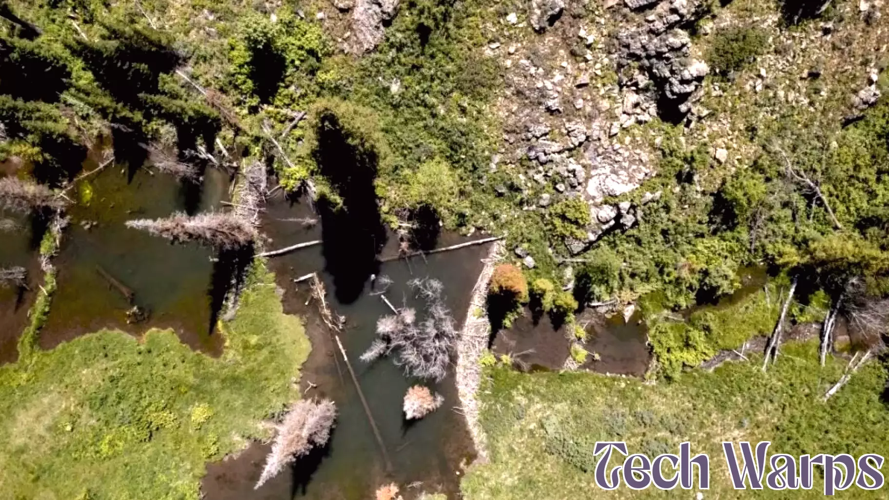 Professor Jodi Brandt Leverages Innovative Technologies to Explore Idaho's Landscapes