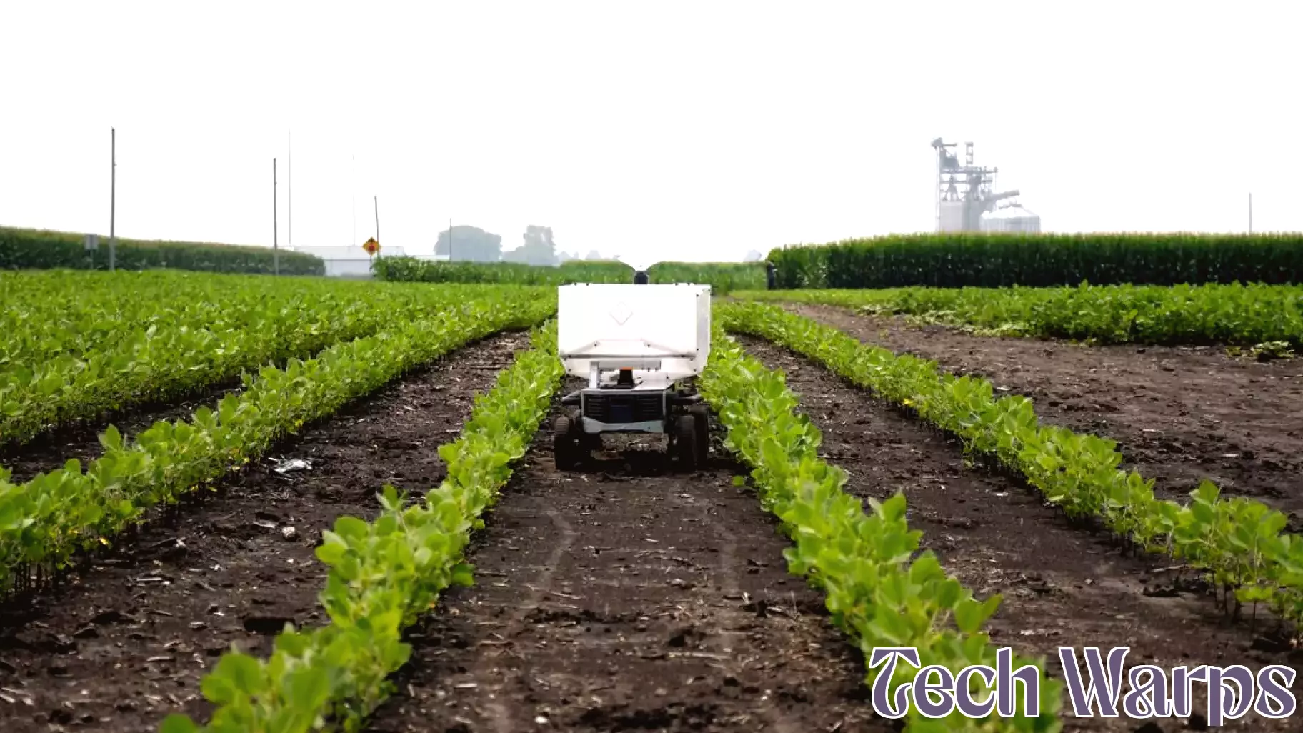 The Intersection of Tradition and Innovation in Farming