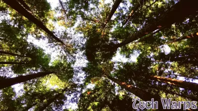 Assessing the Environmental Footprint of Blockchain Technology