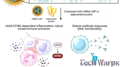 Breakthrough in DNA Delivery Technology for Vaccination