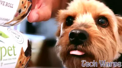 Is Align Technology, Inc. (NASDAQ:ALGN) a Hidden Gem in the Market?