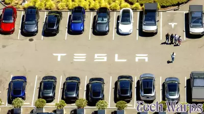 Tesla Receives Extension in Investigation of Self-Driving Technology