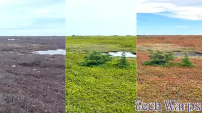 Utilizing Technology and Global Cooperation to Study Peatlands